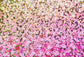 Rose Clusters Flower Photography Backdrop SH-1004