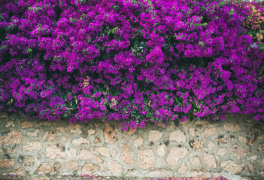 Stone Wall Purple Blooming Flowers Backdrop SH-1006