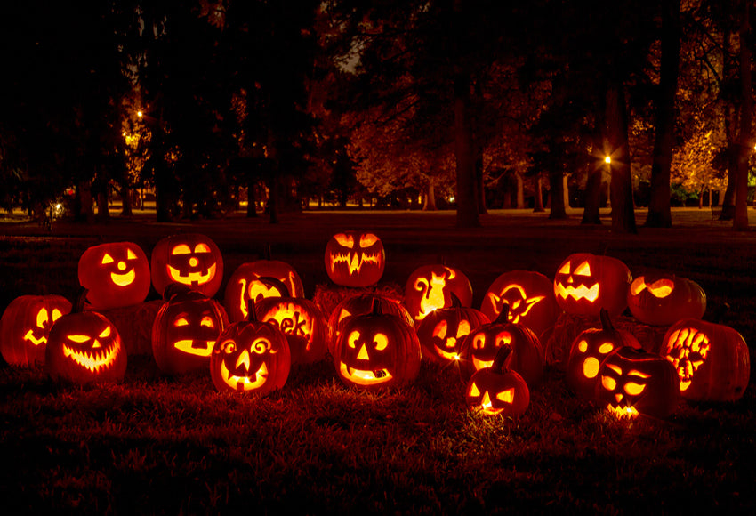 Halloween Pumpkins Holiday Photo Shoot Backdrop