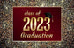 Class 2023 Gold Sparkle Photography Graduation  Backdrop SH-374