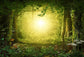 Magical Woodland  Light Green Photography Backdrop