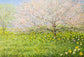 Spring Trees Meadow Daffodils Oil Painting Backdrop