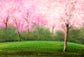 PInk Spring  Green Grass Photo Booth Backdrop