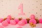 1st Birthday Pink Balloon Backdrop for Baby Photography SH-940