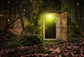 House Door Inside Tree Photo Booth Backdrop