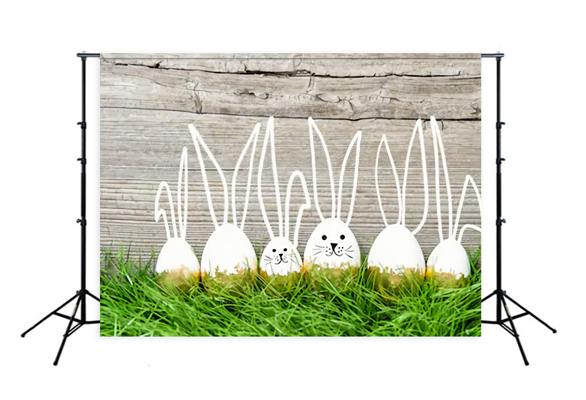 Easter Backdrop White Easter Eggs Spring Green Grass Photo Backdrop SH130