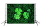 St. Patrick's Day Green Good Luck Backdrop for Party Decorations SH195