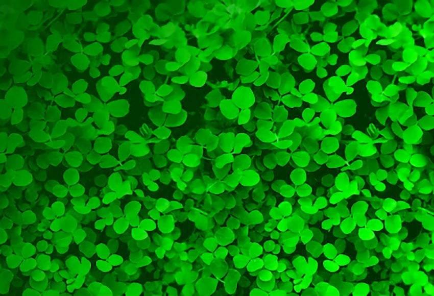 St. Patrick's Day Green Clover Leaf Backdrop for Party Photography SH196