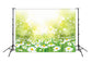 Spring Flowers Green Bokeh Backdrop for Photography SH205