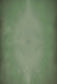 Abstract Green Cloud Texture Photography Backdrop SH229