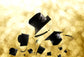 Gold Graduation Party Trencher Cap Photography Backdrop SH-258