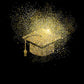 Gold and Black Graduation Photography Party Backdrop SH381