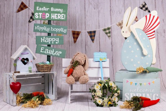 Bunny Easter Spring Backdrop for Photography SH604