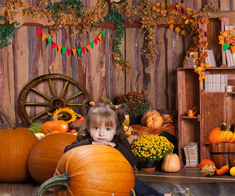 Autumn Pumpkins Cabin Haystack Backdrop for Photography TKH1590 – Dbackdrop