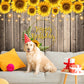 Happy Birthday Sunflower Decor Party Bakckdrop TKH1603
