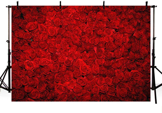 Red Rose Photo Background for Valentine's Day Decorations 