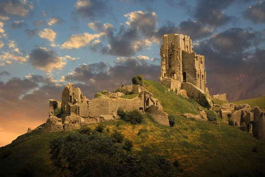 Romantic Fantasy Magical Castle Ruins Photo Backdrop YY00391-E