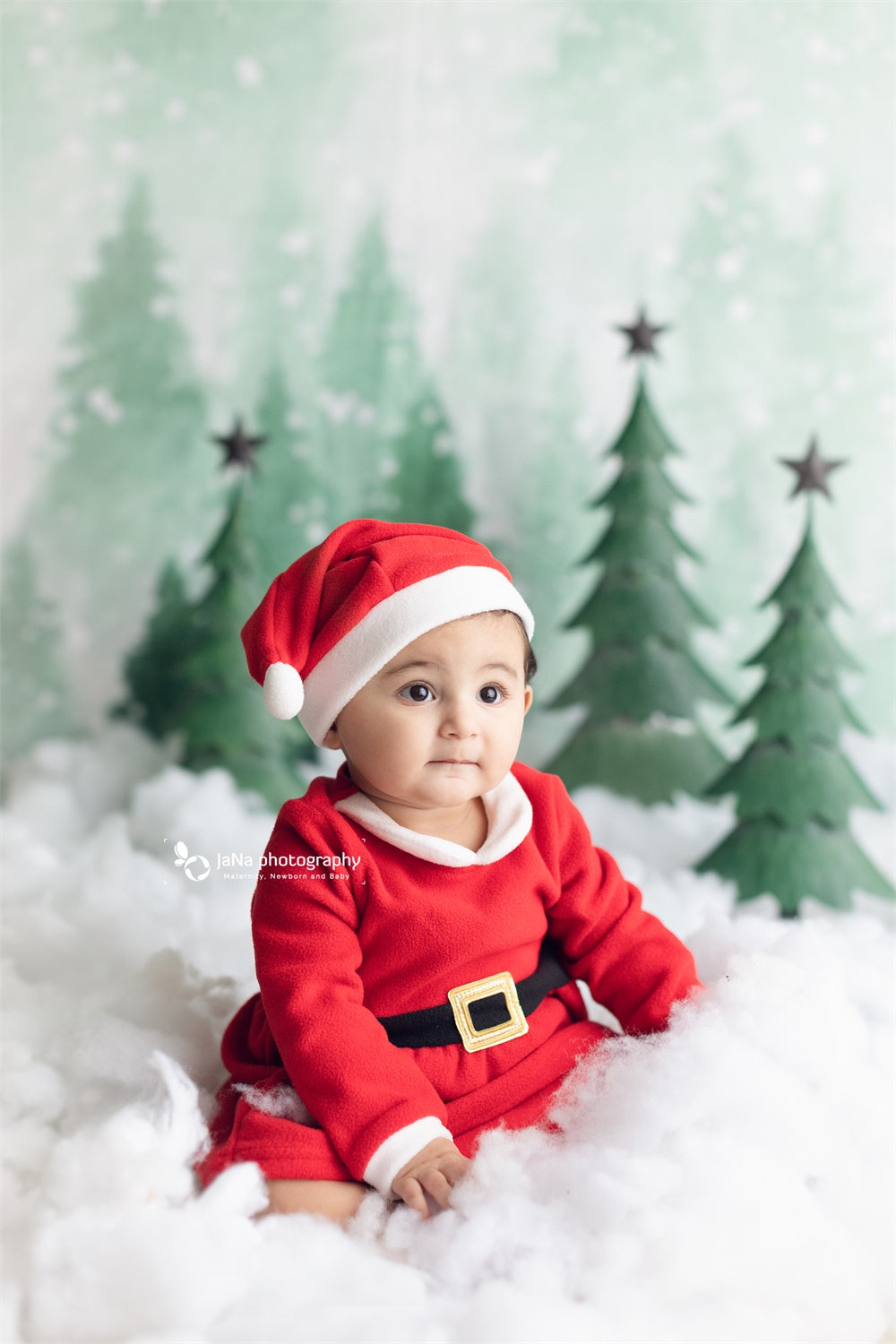Christmas Trees Backdrop Snow Background Baby Photography ZG-71