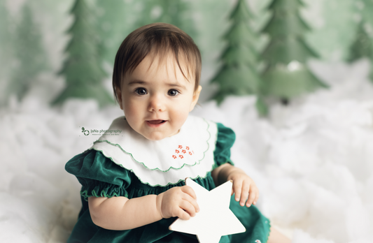 Christmas Trees Backdrop Snow Background Baby Photography ZG-71