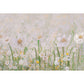 Daisy Oil Painting Backdrop Elegant Floral Backdrop for Photography ZH-279