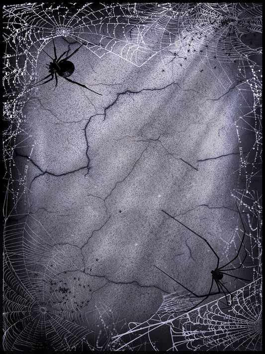 Happy Halloween Day Cracked Walls Spider Web  Backdrop DBD-P19065