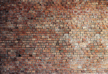 Vintage Red Brick Wall Photo Backdrop  D249-1