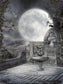 Night Garden Moon Backdrops For Photography DBD-P19095
