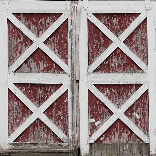 Barn Door Rustic Wooden  Backdrop for Photography LV-1010