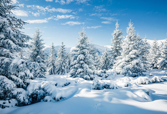 Winter Snowy Forest White Cloud Blue Sky Scenery Photography Backdrop ...
