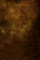 Brown Abstract Texture Old Master Style Photo Booth Backdrop  LV-1321