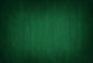Green Abstract Textured Photo Studio Backdrop LV-1583