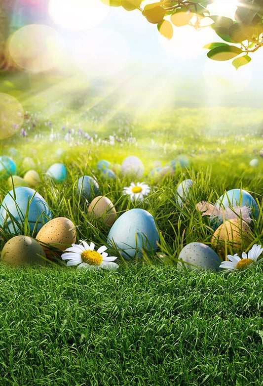 Easter Eggs Green Grass Sunshine Spring Backdrop for Photography LV-1715