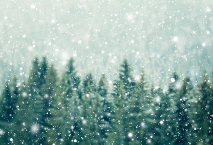 Xmas Tree Snowflake Green Christmas Backdrop for Photography LV-806