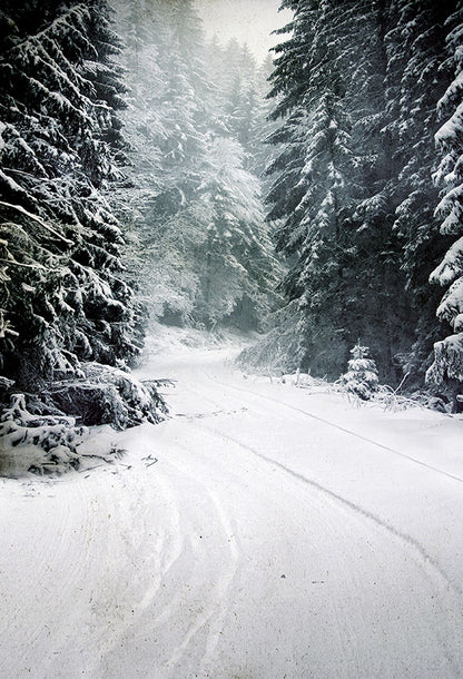 Christmas Tree Winter Snow Road Photo Backdrop LV-873