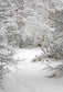 Winter Snow Forest Backdrop for Photography LV-894