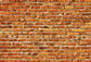 Brick Wall Decorations Backdrop for Photo Booth LV-898