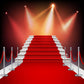 Red Carpet Lighting Stage Backdrops for Photography LV-901
